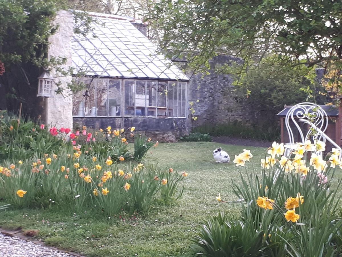 Les Lilas De Bellefontaine Bayeux Buitenkant foto
