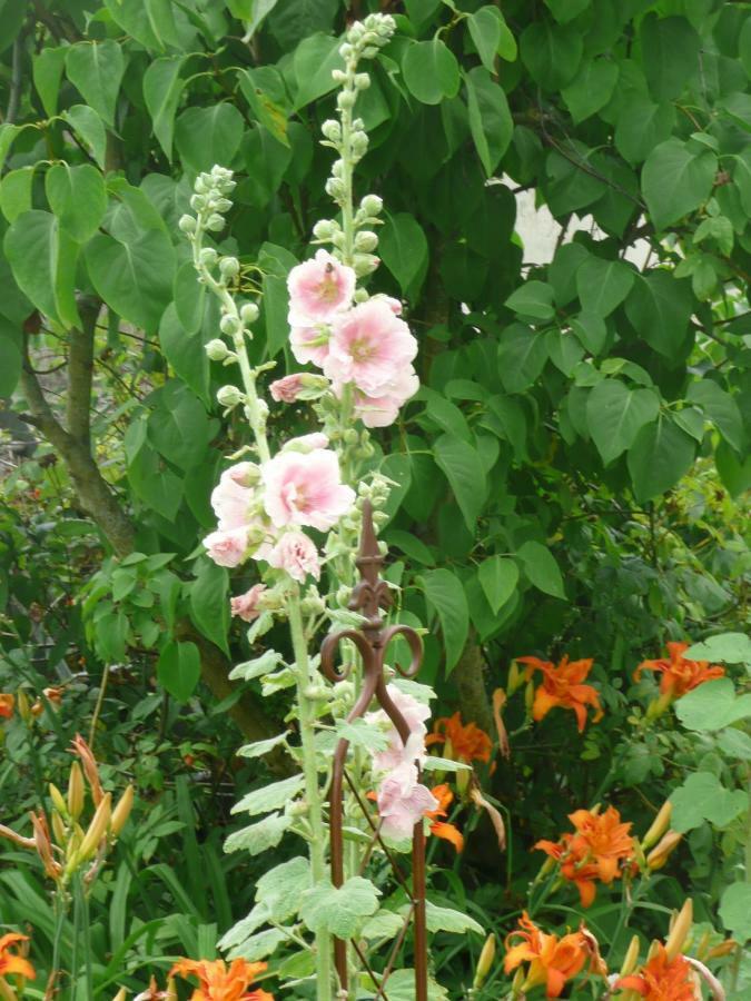 Les Lilas De Bellefontaine Bed and Breakfast Bayeux Buitenkant foto